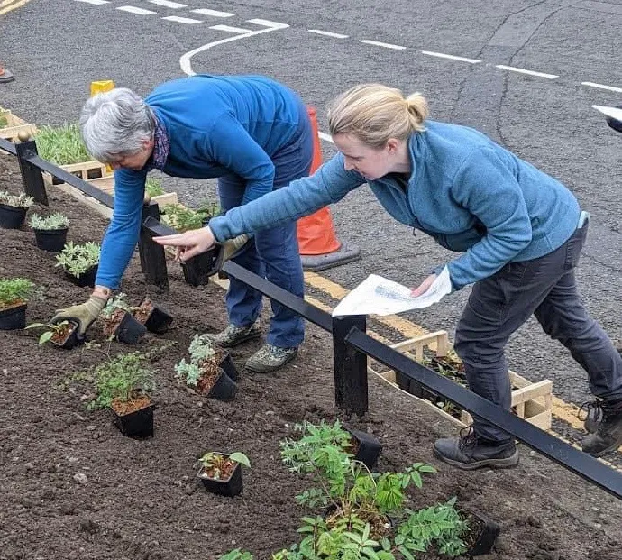 Linlithgow canal bed being planted up