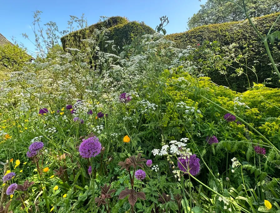 Naturalistic garden border